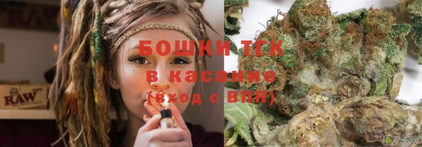 амф Михайловск